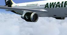Airbus A310 Multi Livery FSX P3D 45