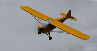 P3D Fusion - screenshot 22